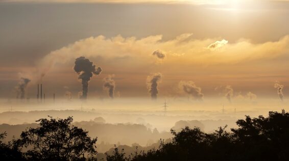 Smog: una delle possibili cause del diabete